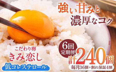 【6回定期便】きみ恋し 箱入り 40個（36個+割れ保証4個）×6ヶ月　総計240個  [AFAJ008]