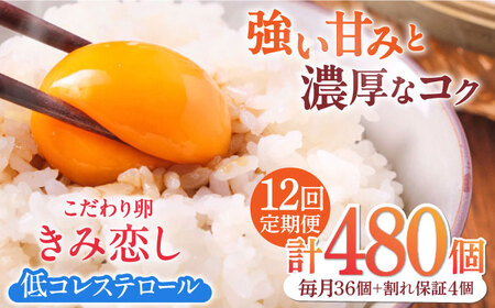 【12回定期便】きみ恋し 箱入り 40個（36個+割れ保証4個）×12ヶ月　総計480個  [AFAJ009]