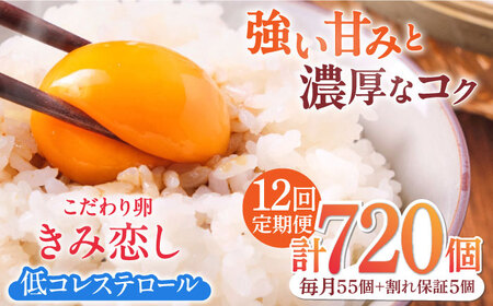 【12回定期便】きみ恋し 箱入り 60個（55個+割れ保証5個）×12ヶ月　総計720個  [AFAJ011]