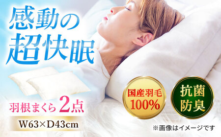 国産羽根まくら 2点セット 羽毛1.1kg / まくら[AFAO012]