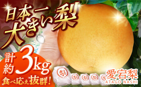 【12月上旬発送開始】愛宕梨 約3kg (3玉-5玉) / 梨 なし ナシ フルーツ[AFAR025]