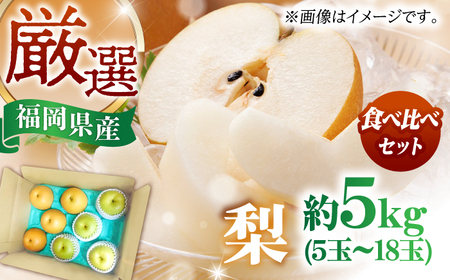 【8月上旬発送開始】 食べ頃品種を2種以上お届け! 梨 食べ比べセット 約5kg （5玉-18玉） / 梨 [AFAR027]