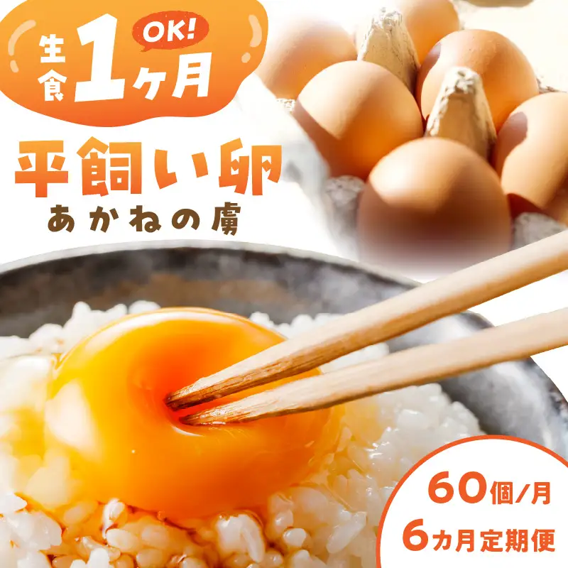 〈平飼い卵〉あかねの虜（60個/月）【6カ月定期便】【J62-002】
