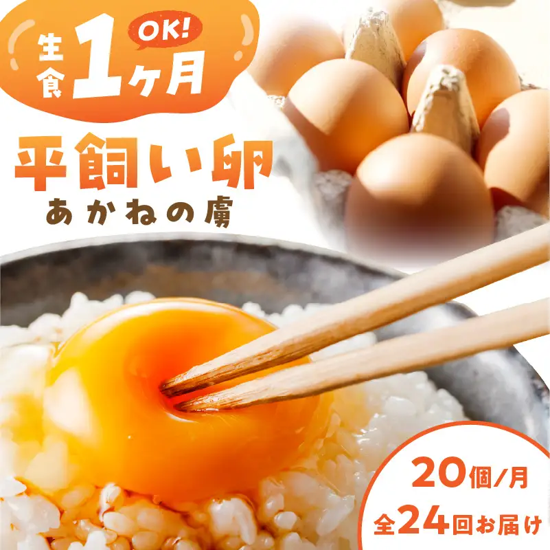 〈平飼い卵〉あかねの虜（20個）【全24回お届け】【J92-002】