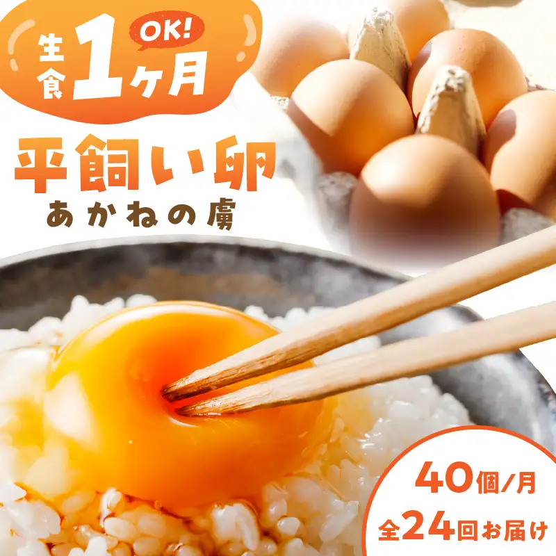 〈平飼い卵〉あかねの虜（40個）【全24回お届け】【L84-002】
