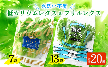 【福井県美浜町産】低カリウムレタス&フリルレタス　計20個セット【野菜 生野菜 レタス サラダ サンドイッチ お弁当 水耕栽培 洗わず食べられる 時短 付け合わせ ダイエット ヘルシー】レタス フリルレタス 野菜 サラダ ダイエット ヘルシー  [m40-a006]