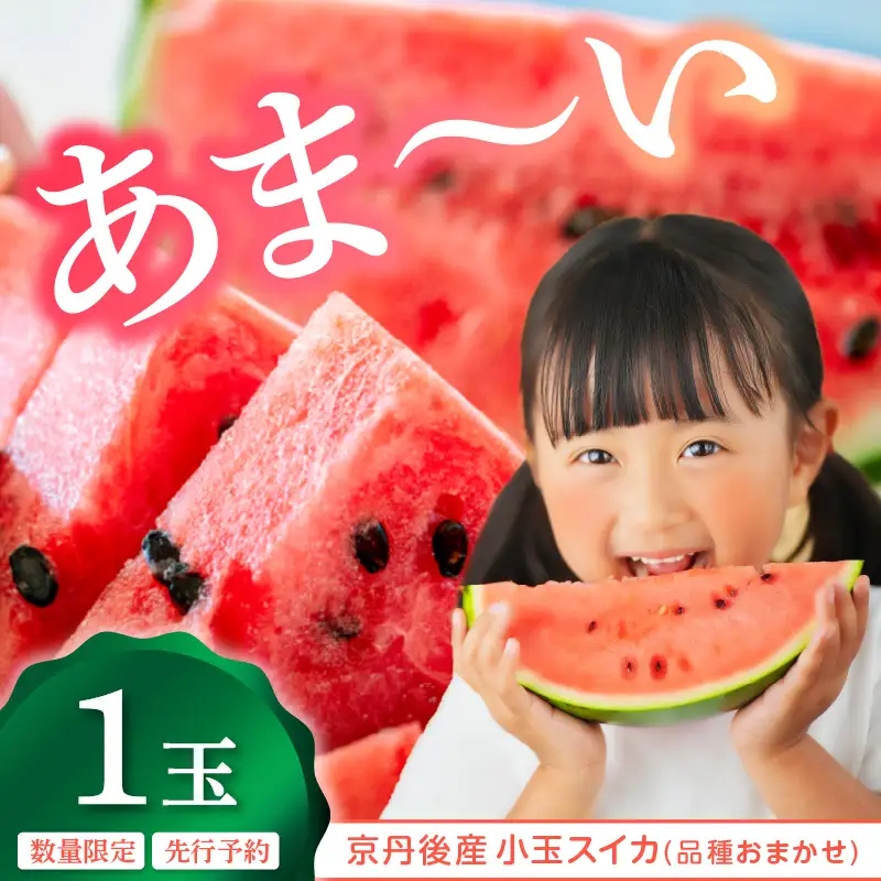 スイカ 小玉スイカ 品種おまかせ 1玉｜2026年7月上旬から発送