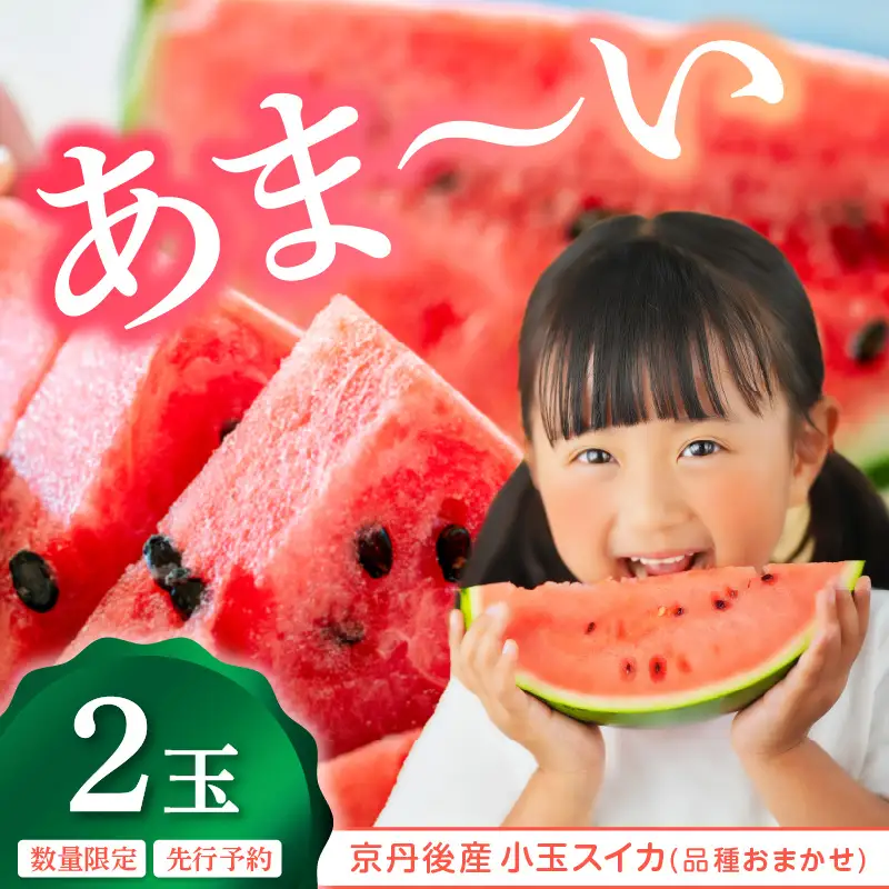 【先行予約】みんな大好き！甘～ぃ！シャリ美味！！京丹後産小玉スイカ！！2玉（ひとりじめ、姫甘泉、ひめまくら、砂丘たまごから1種類）（2026年7月上旬～発送）