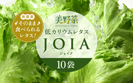 低カリウムレタス 美野菜 「JOIA」 10袋 クリーンルーム栽培 無農薬 鮮度長持ち 【野菜 生野菜 レタス サラダ お弁当 水耕栽培 洗わず食べられる 時短 付け合わせ】レタス フリルレタス 野菜 サラダ ダイエット ヘルシー  [m40-a010]