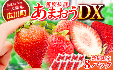 【★先行予約★ 2027年2月より発送】いちご（あまおう）DX等級 4ケース（270g×8P）  / いちご [AFAB005]