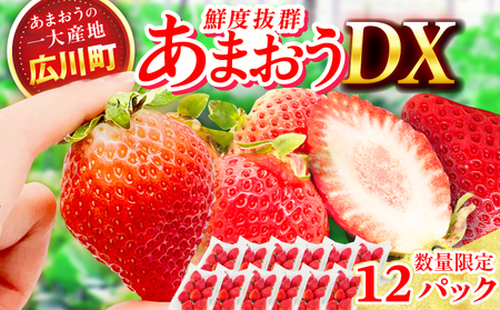 【★先行予約★ 2027年2月より発送】いちご（あまおう）DX等級 6ケース（270g×12P）  / いちご [AFAB006]