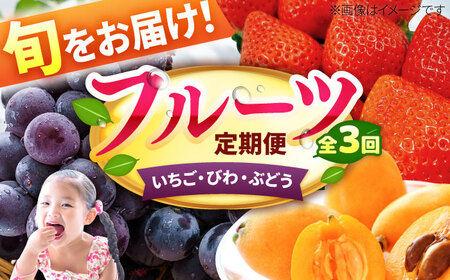 【★先行予約★ 2027年2月発送開始】【3回定期便】フルーツ定期便 (いちご/びわ/ぶどう)  / フルーツ[AFAB008]