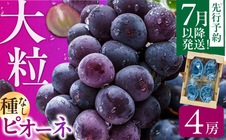 【★先行予約★ 2026年7月中旬より発送】ピオーネ 約1.4kg / ピオーネ[AFAB047]