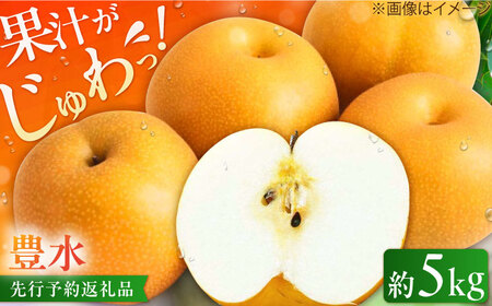 【★先行予約 8月下旬より発送】梨（豊水） 約5kg / ほうすい 梨[AFAB023]