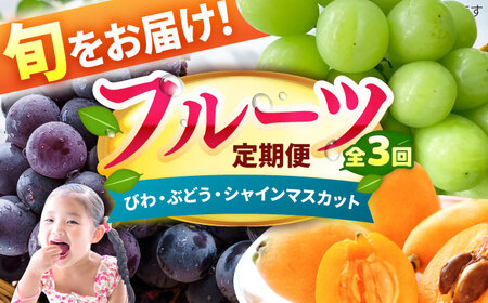 【★先行予約★ 2027年4月発送開始】【3回定期便】フルーツ定期便（びわ/ぶどう/シャインマスカット） / ビワ ブドウ マスカット[AFAB025]