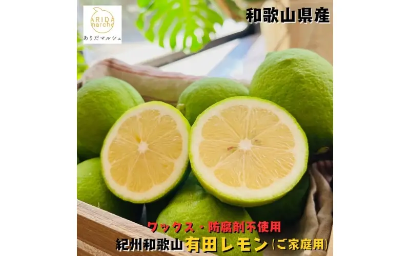 紀州和歌山 ご家庭用 有田 レモン 5kg+200g(傷み補償分)【防腐剤・ワックス不使用】【農家直送】【訳あり】 ※着日指定不可 ※2026年9月下旬～2027年3月下旬に順次発送予定【ard190A】