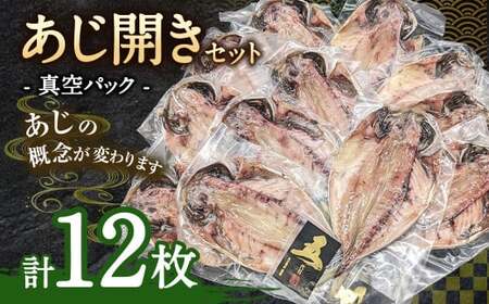あじ開き 12枚セット