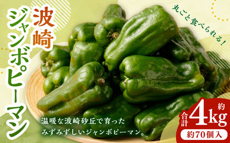 AY-2 丸ごと食べられる！波崎ジャンボピーマン　4kg（約70個入り） 野菜 やさい ピーマン おかず 炒め物 丸焼き 国産