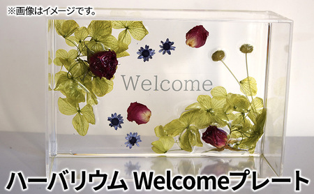 ハーバリウム Welcomeプレート　インテリア ハンドメイド 雑貨 小物 手作業 世界に一つ ハンドメイド作品 かわいい 贈り物 置物 