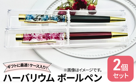 ハーバリウム ボールペン2本セット ケース入り！　ハンドメイド 雑貨 ギフト プレゼント 小物 手作業 世界に一つ ハンドメイド作品 かわいい 贈り物 置物 
