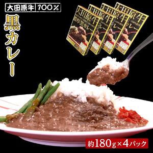大田原牛 100％ 黒カレー 4パックセット | レトルト カレー 和牛  牛肉 ビーフカレー 高級  カレーカレーカレーカレー