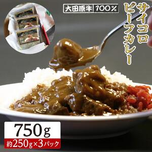 大田原牛 100％ サイコロ ビーフカレー 3パックセット | レトルト カレー 和牛 牛肉 ビーフカレー 高級