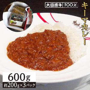 大田原牛 100％ キーマカレー 3パックセット | レトルト カレー 和牛  牛肉  高級
