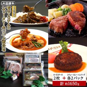 【2名様分】 大田原牛 特上ロース ステーキ 2枚とシチュー・カレー・生ハンバーグ各2パックの詰め合わせ | ブランド牛 和牛 牛肉  高級 ロース ステーキ ハンバーグ カレーライス ビーフシチュー