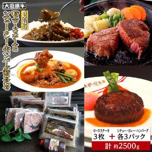 【3名様分】 大田原牛 特上ロース ステーキ 3枚とシチュー・カレー・生ハンバーグ各3パックの詰め合わせ | ブランド牛 和牛 牛肉  高級 ロース ステーキ ハンバーグ カレーライス ビーフシチュー