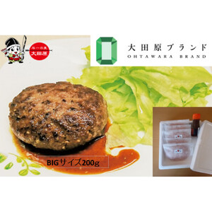 大田原市公式「大田原ブランド」認定第７号「与一和牛100％生ハンバーグ」200ｇ5個入りソース付き