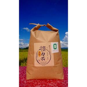 令和7年度産　體力米（たいりょくまい）コシヒカリ 玄米 ５kg ｜ 米  ブランド米 栃木県 大田原市