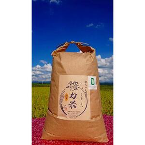 令和7年度産　體力米（たいりょくまい）コシヒカリ 玄米 10kg ｜ 米  ブランド米 栃木県 大田原市