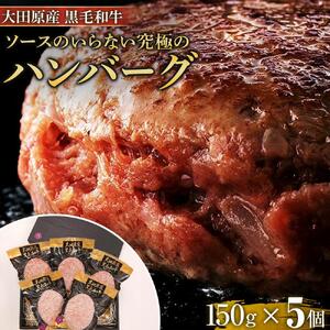 ソースのいらない究極の大田原産黒毛和牛 ハンバーグ | 黒毛和牛 熟成 高級 和牛 ハンバーグ