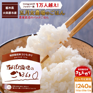 【12か月定期便】農家直送のパックごはん☆五月女農場のごはん（150ｇ×20個）