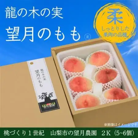 【2026年発送】柔らかめの品種の桃・2K(5~6個)「龍の木の実 望月のもも」【配送不可地域：離島・沖縄県】【1489722】