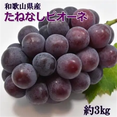【新鮮・産直】和歌山県産たねなしピオーネ約3kg(4房～7房)(日高町)【2026年度発送分】【配送不可地域：離島・北海道・沖縄県】【1493706】