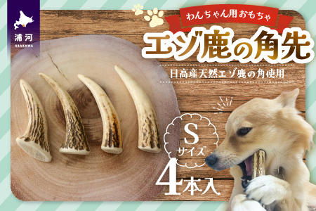 エゾ鹿の角先 Sサイズ×4本セット(1本物)[54-1363]