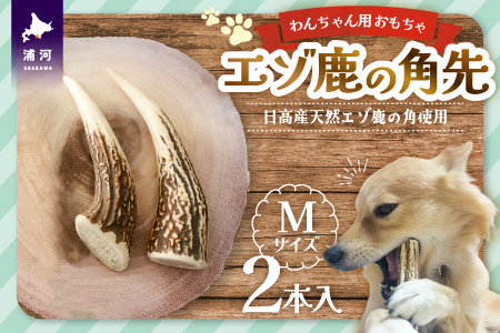 エゾ鹿の角先 Mサイズ×2本セット(1本物)[54-1364]
