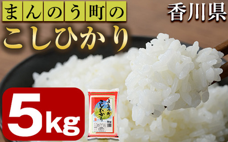 ＜令和7年産＞香川県まんのう町産 コシヒカリ(5kg) 国産 お米 こしひかり ご飯 白米 ライス 【man027】【香川県食糧事業協同組合】