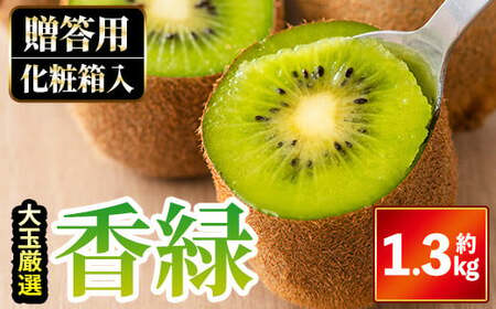 ＜先行予約！2026年11月下旬以降順次発送予定＞＜贈答用・大玉厳選＞ 香緑キウイ(約1.3kg・化粧箱入り) 国産 果物 フルーツ キウイフルーツ 新鮮 ギフト 【man054】【Aglio nero】