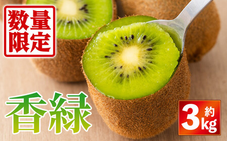＜先行予約！2026年11月下旬以降順次発送予定＞香川県産 香緑キウイ(約3kg) 国産 果物 フルーツ キウイフルーツ 【man055】【Aglio nero】