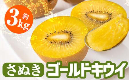 ＜先行予約！2026年10月中旬以降順次発送予定＞香川県産 さぬきゴールドキウイ(約3kg) 国産 果物 フルーツ キウイフルーツ 【man063-B】【Aglio nero】