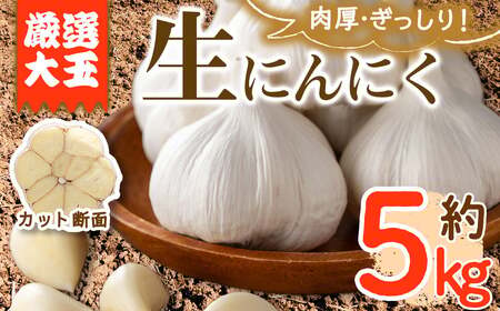 ＜先行予約！2026年5月上旬以降順次発送予定＞ 香川県産 厳選大玉生にんにく(約5kg) 国産 ニンニク ガーリック 薬味 野菜 【man069】【Aglio nero】