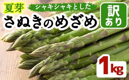 ＜先行予約！2026年6月上旬以降順次発送＞＜訳あり＞夏芽！さぬきのめざめ(約1kg) 香川県 国産 野菜 アスパラ 新鮮 冷蔵便 【man082-A】【Aglio nero】