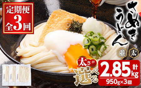 ＜訳あり・定期便＞半生うどん (2.85kg(3回)・並) 本場 讃岐 香川県 麺 コシ 常温 小麦 【man164-A】【こんぴらや販売】