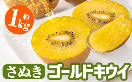 ＜先行予約！2026年10月中旬以降順次発送予定＞香川県産 さぬきゴールドキウイ(約1kg) 国産 果物 フルーツ キウイフルーツ 新鮮【man063-A】【Aglio nero】