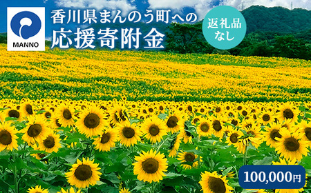 ＜返礼品なし＞ 香川県まんのう町への寄附 (100,000円) 香川県 まんのう町 応援 寄附 返礼品なし【man904】【まんのう町】