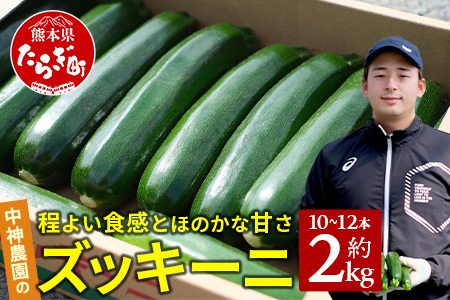 【11月上旬～5月下旬発送】中神農園の ズッキーニ 約2kg (10～12本) 野菜 夏 やさい 煮る 炒める 生食 ミネラル ビタミンC ずっきーに 新鮮 国産 九州 熊本県 多良木町 071-0506