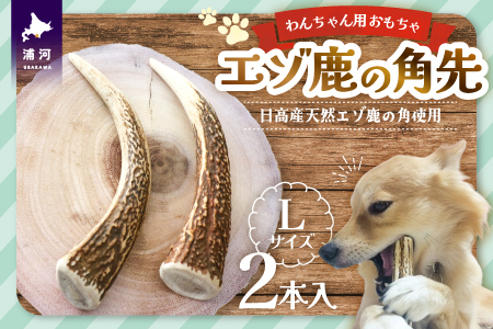 エゾ鹿の角先 Lサイズ×2本セット(1本物)[54-1365]