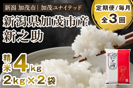 【令和7年産】【定期便3ヶ月毎月お届け】新潟県産 新之助 精米4kg 《2kg×2袋》
